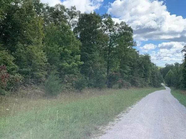 Altamont, TN 37301,0 2nd Drive