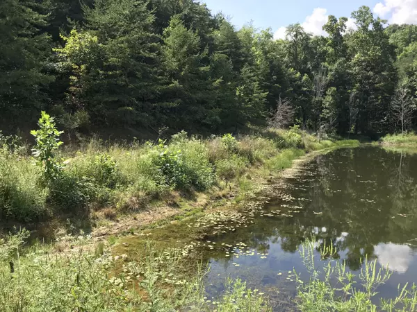 Dunlap, TN 37327,16 Bear Wallow Rd