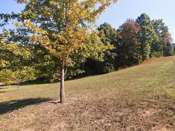 10982 Thatcher Crest Drive, Soddy Daisy, TN 37379