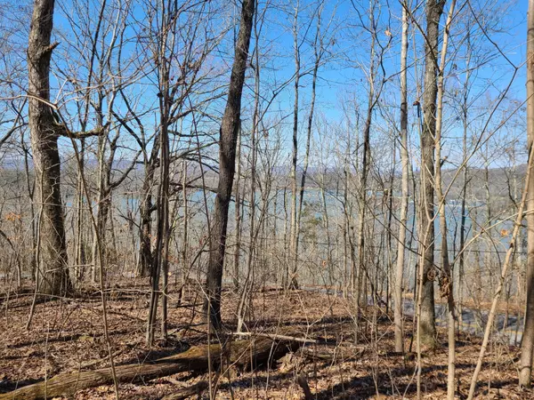 South Pittsburg, TN 37380,3 Highway 156