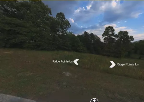 Cohutta, GA 30710,0 Ridge Pointe Lane