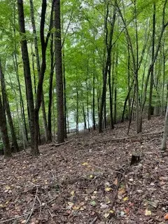 Winchester, TN 37398,0 Rocky Hollow Dr