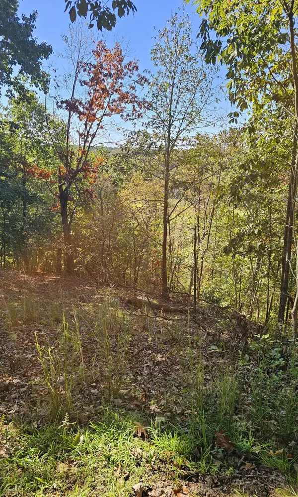 Waverly, TN 37185,0 Big Richland Drive