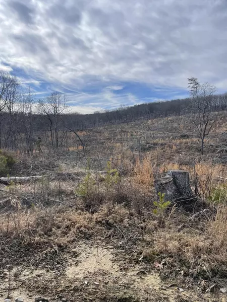 250 Old Cc Road, Pikeville, TN 37367