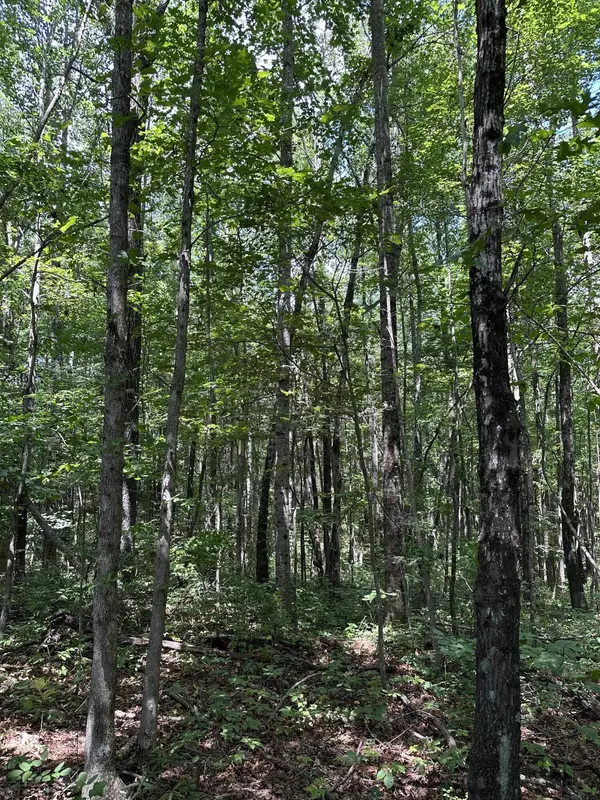 Altamont, TN 37301,30 Highway 108