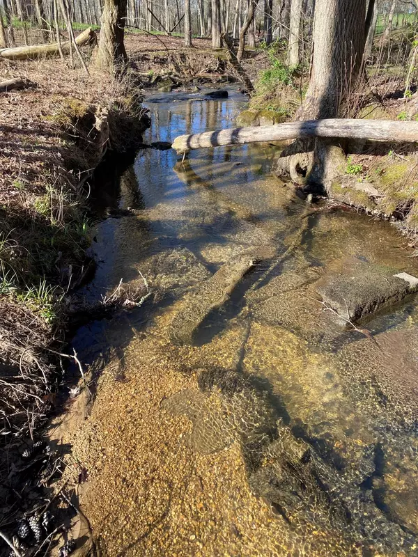 Tracy City, TN 37387,4 Dykes Hollow Road