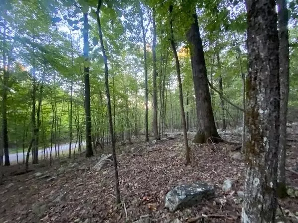 South Pittsburg, TN 37380,1303 Scenic Drive