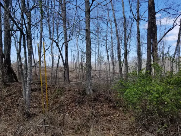 Tracy City, TN 37387,3 Tipple Road