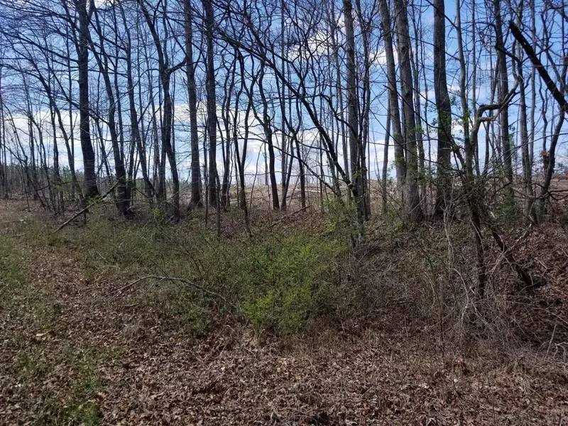 3 Tipple Road, Tracy City, TN 37387