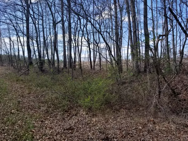 Tracy City, TN 37387,3 Tipple Road