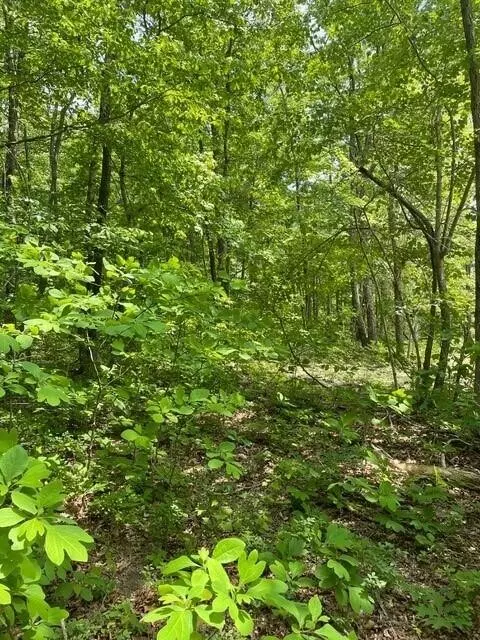 Altamont, TN 37301,8 Blumont Drive