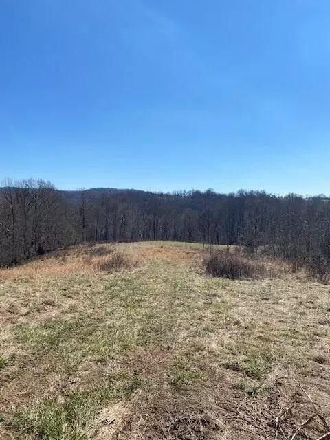 0 Reeder Town Road, Byrdstown, TN 38549