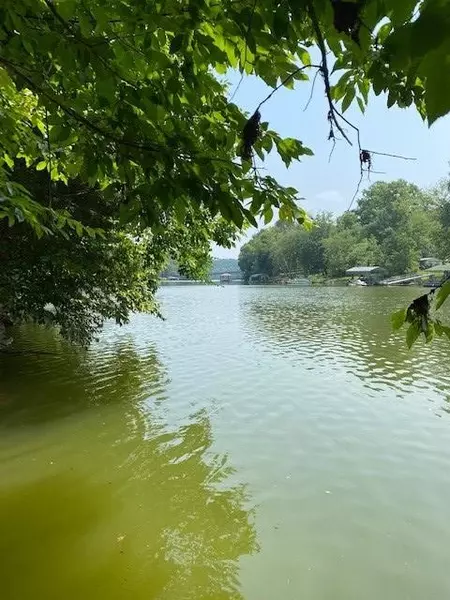 337 Hale Boat Dock Road, Doyle, TN 38559