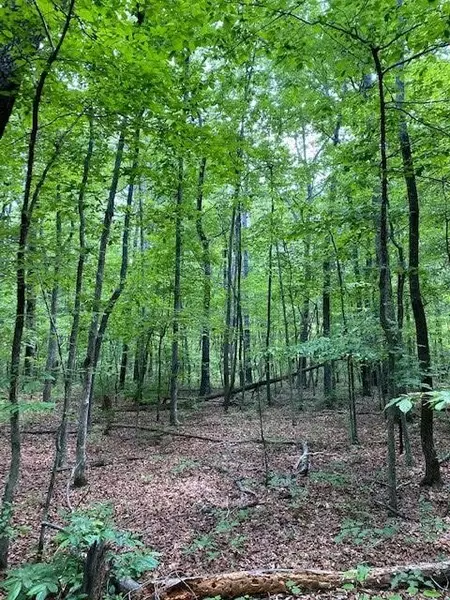 0 Bluff Woods, Altamont, TN 37301