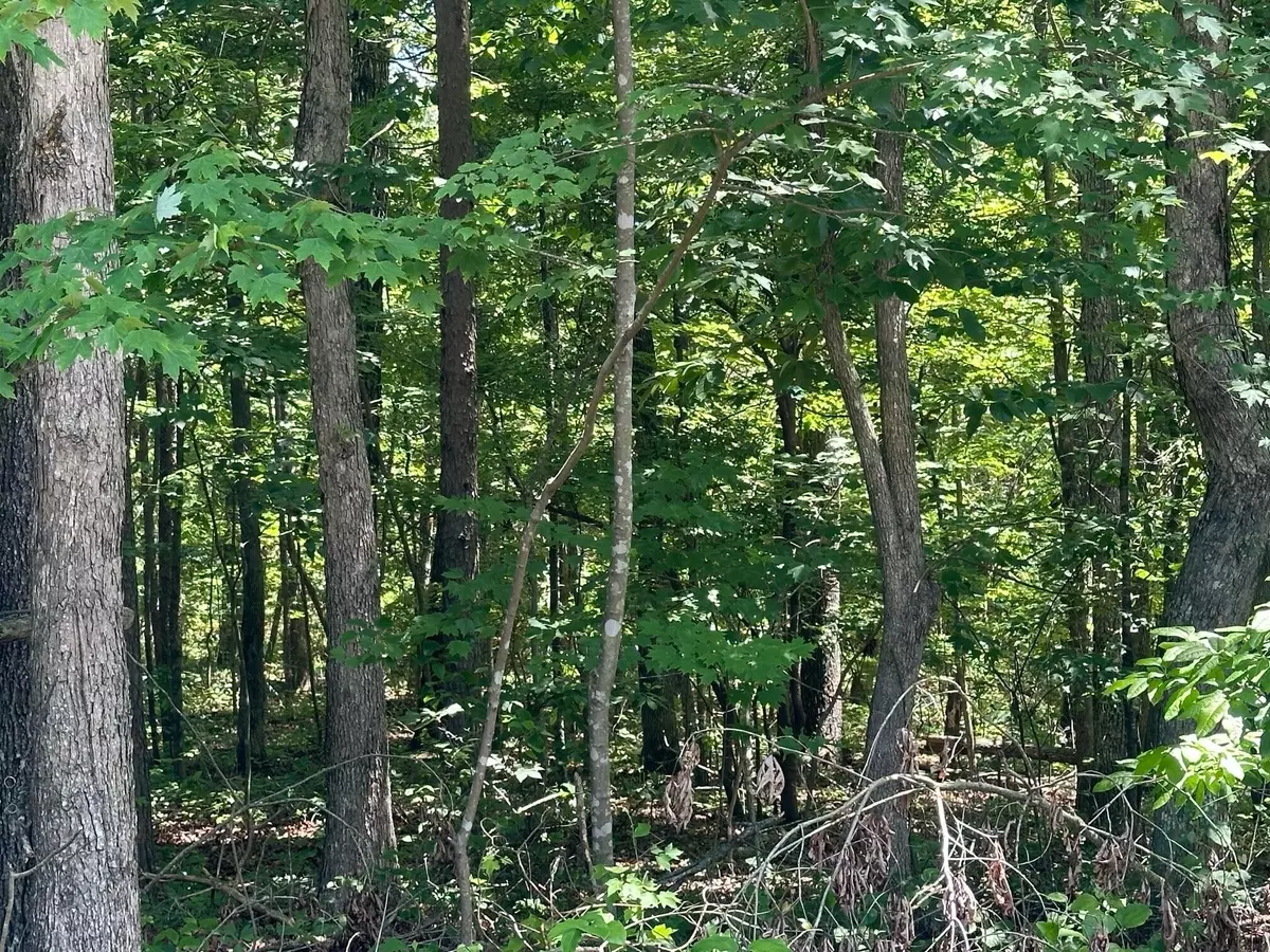 South Pittsburg, TN 37380,189 Kyuga Drive
