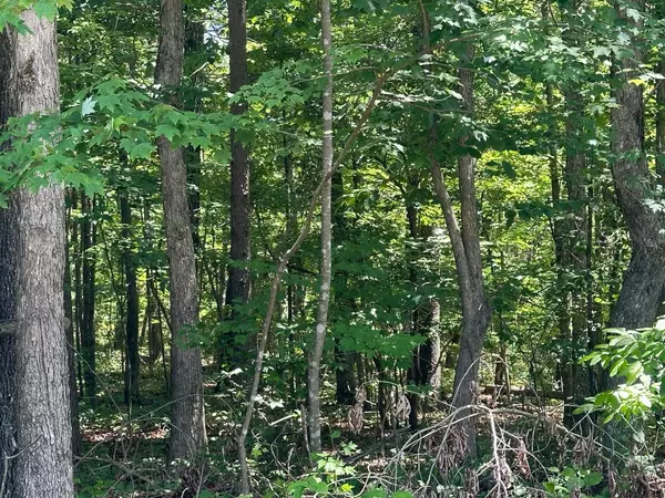 189 Kyuga Drive, South Pittsburg, TN 37380