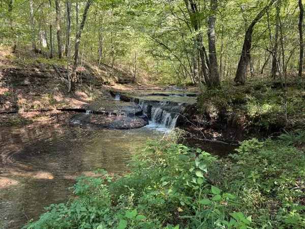 Hohenwald, TN 38462,535 Goodman Branch Rd