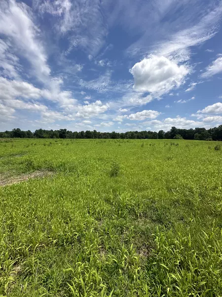 0 Womack Road, Portland, TN 37148