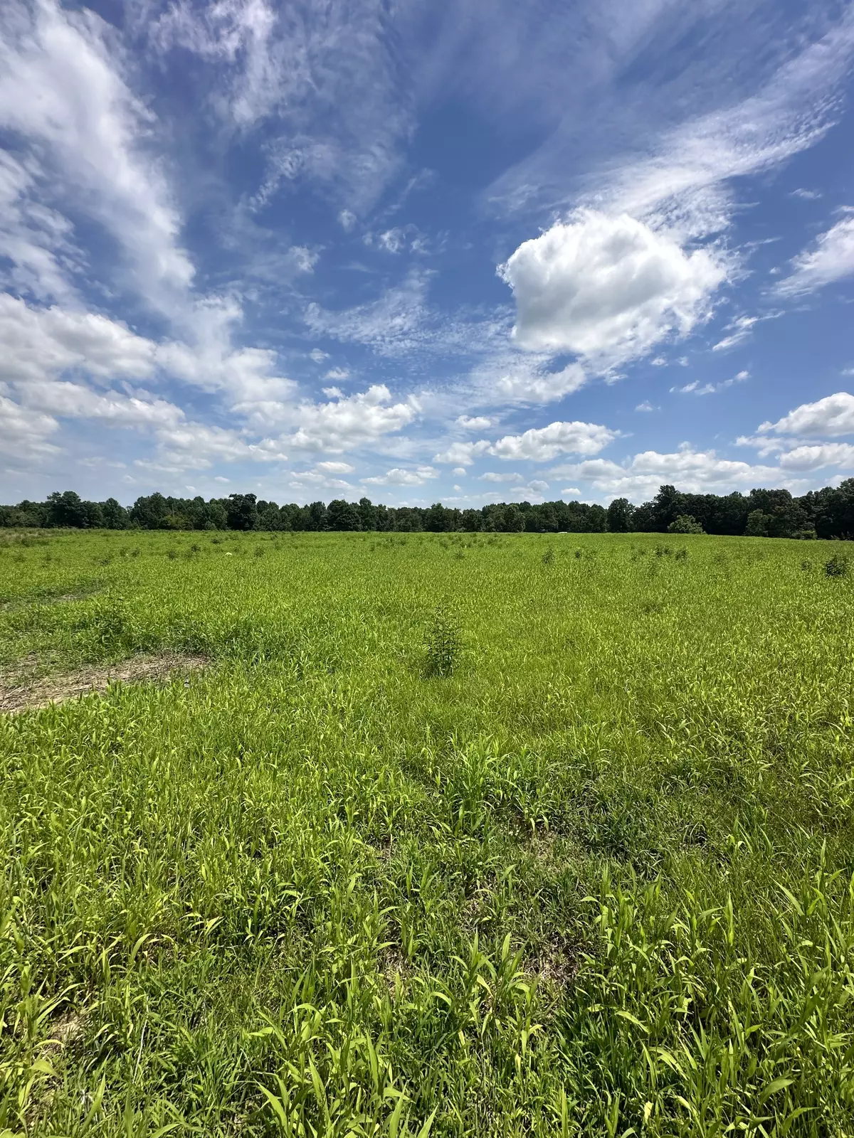 Portland, TN 37148,0 Womack Road