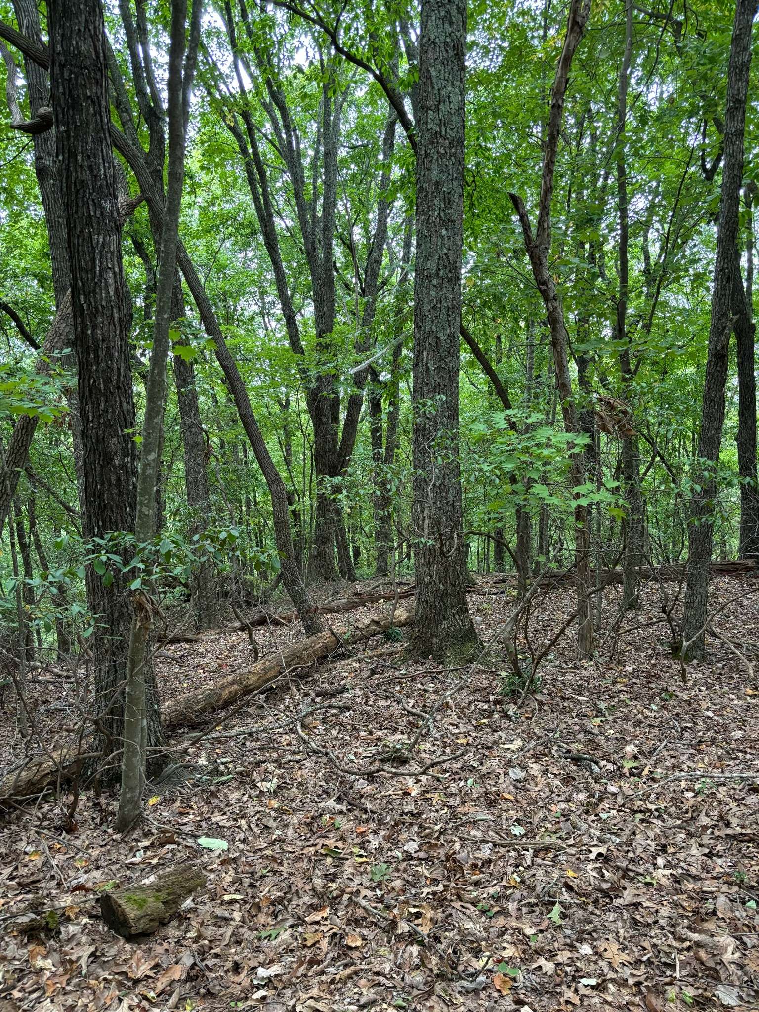 Crossville, TN 38558,17 Trentwood Ct