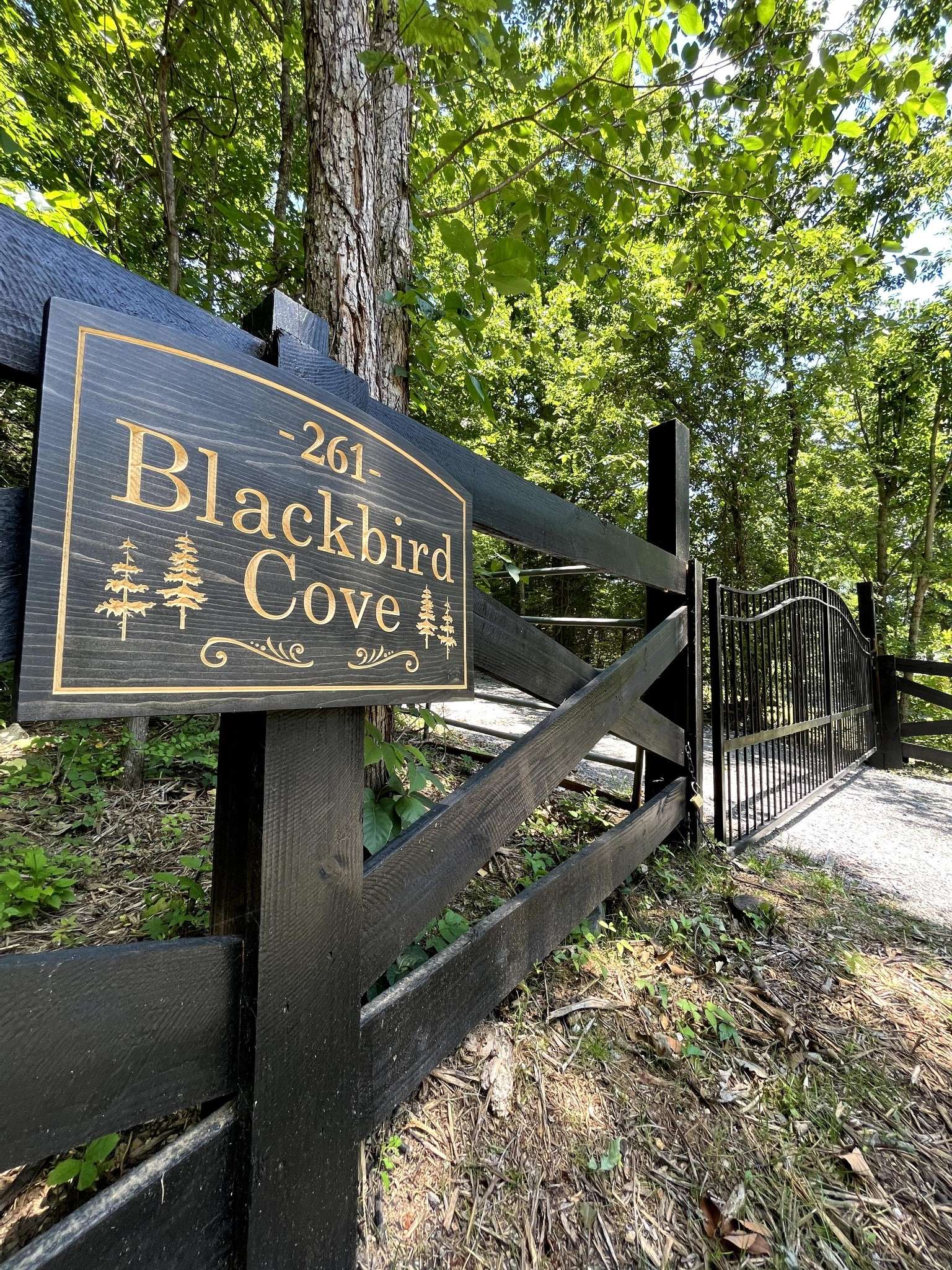 261 Blackbird Rd, Mount Juliet, TN 37122