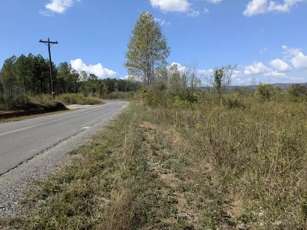 Spring City, TN 37381,0 Shut In Gap Road