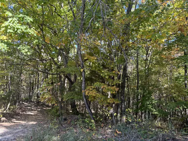 Beersheba Springs, TN 37305,0 Middle Ridge Road