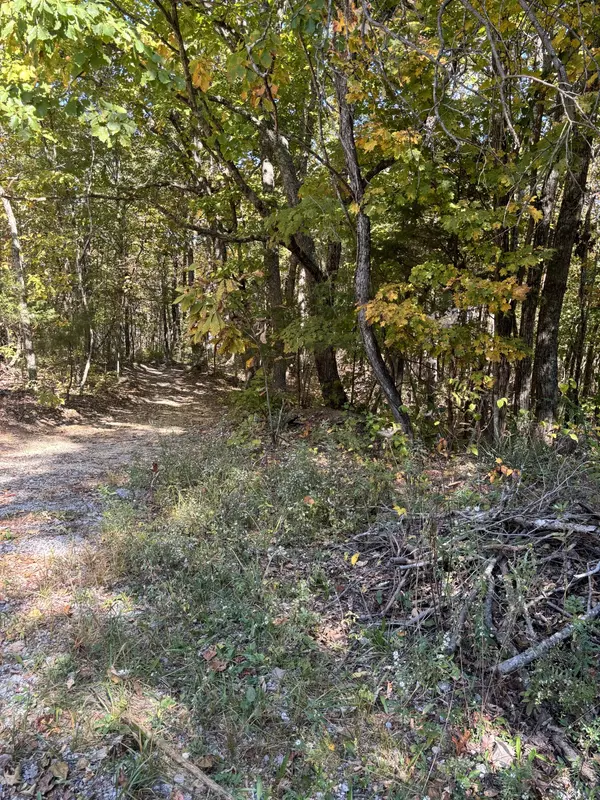 Beersheba Springs, TN 37305,0 Middle Ridge Road