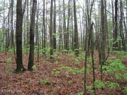 Monterey, TN 38574,0 Bussell Drive