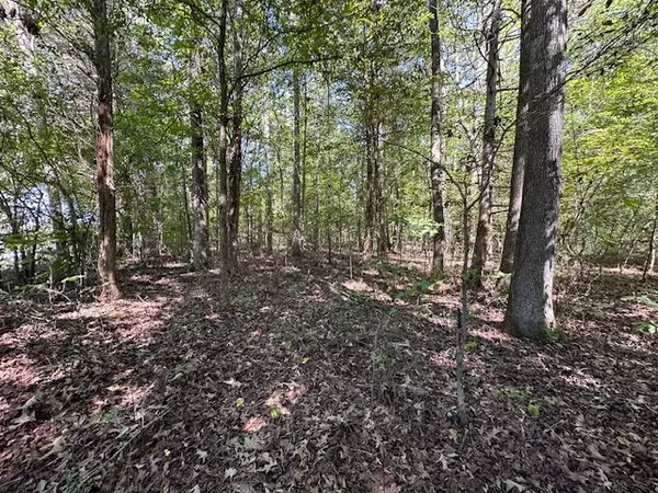 Camden, TN 38320,0 Sales Landing Rd