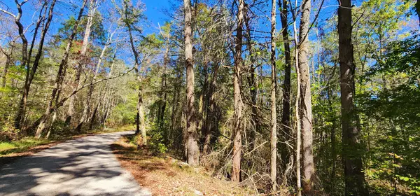 0 Sawmill Creek Trail, Sequatchie, TN 37374