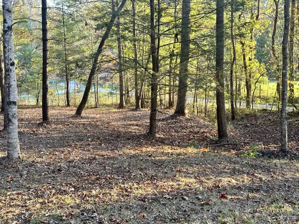 4 Lucky Lane #N, Jamestown, TN 38556