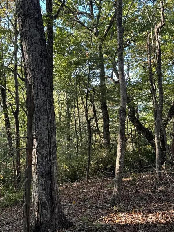 Spring City, TN 37381,910 Ivy Branch Road