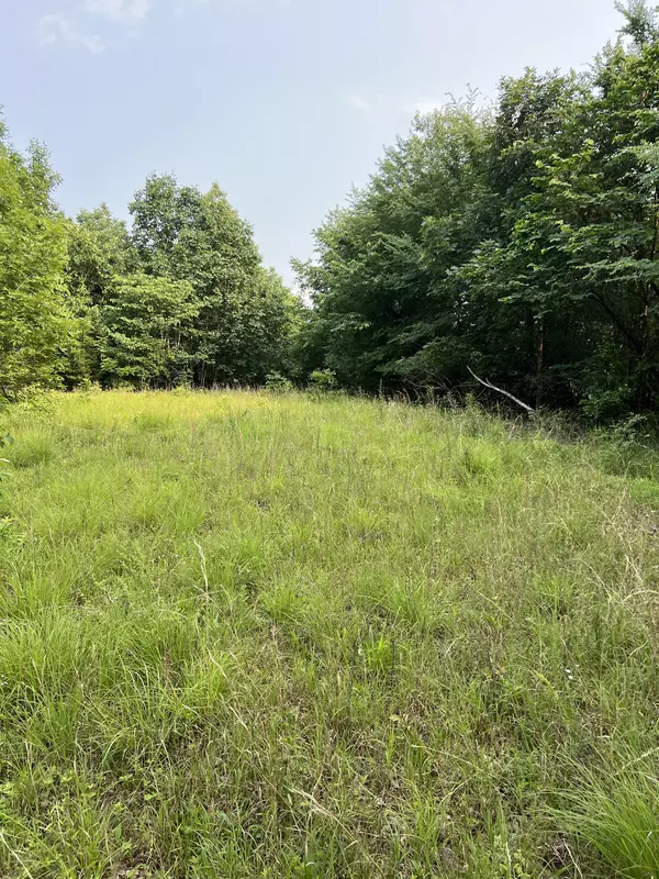 Hohenwald, TN 38462,1 Cane Creek Road