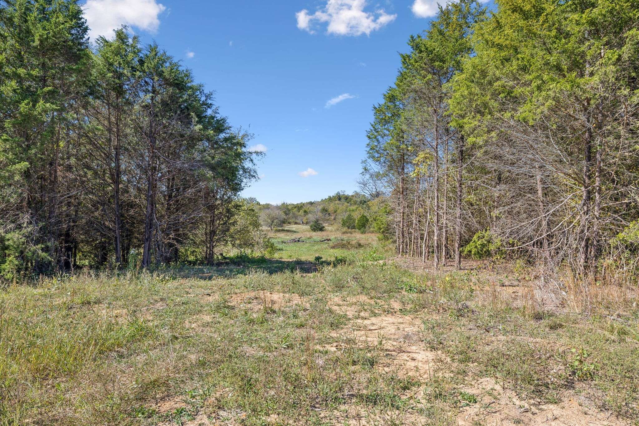Columbia, TN 38401,11A Double Branch Rd