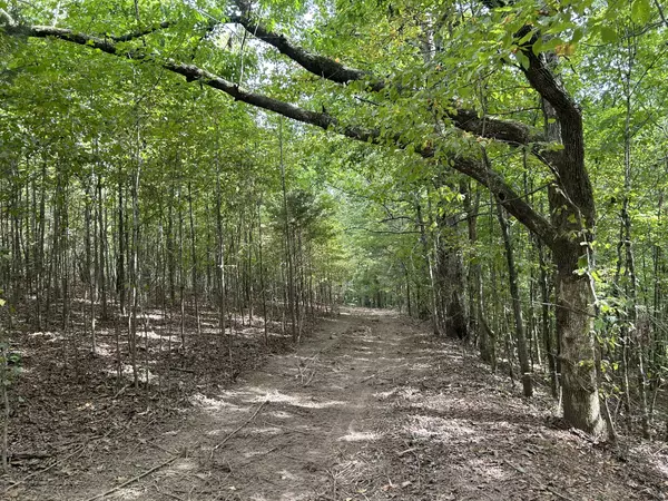 Westpoint, TN 38486,93 Lodi Rd