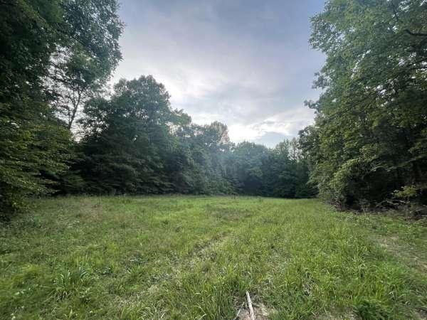 0 W Blue Creek Rd, Waverly, TN 37185