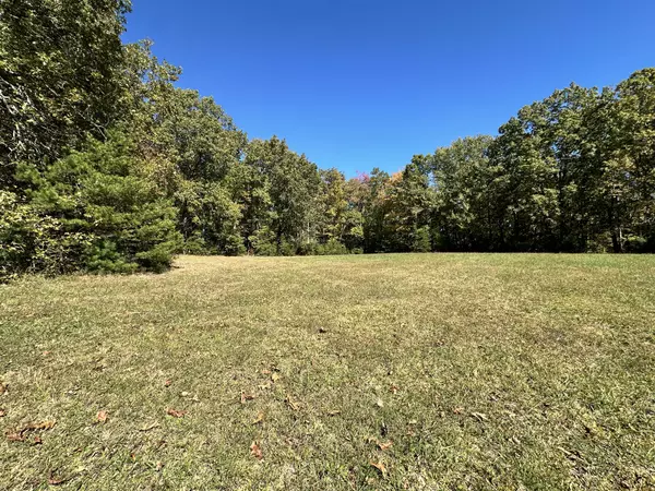 Jamestown, TN 38556,0 LEATHERWOOD FORD RD #N