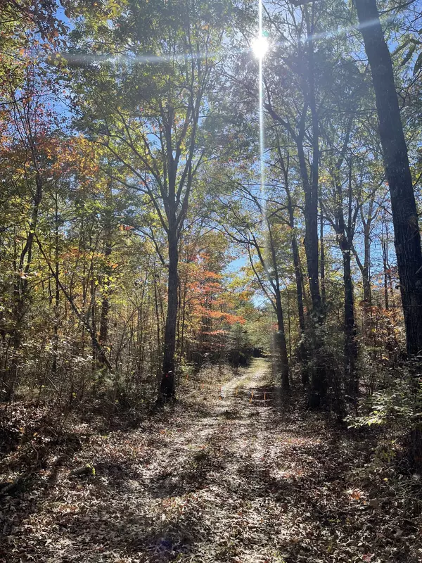 Rock Island, TN 38581,0 Pleasant Hill Cemetery Rd