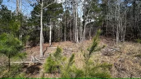 Camden, TN 38320,0 Firetower Rd