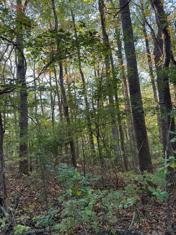 Mcminnville, TN 37110,0 Southside Dr