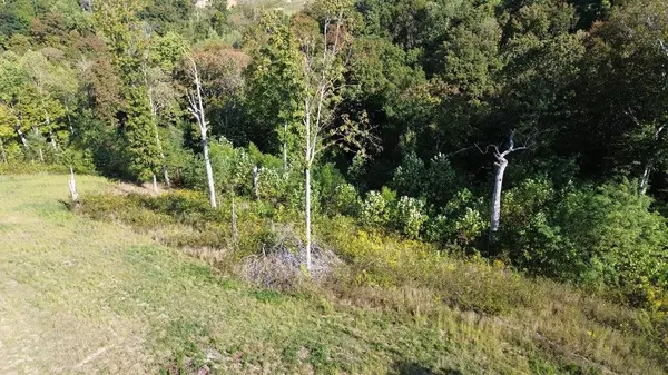 Cottontown, TN 37048,0 Hwy 25