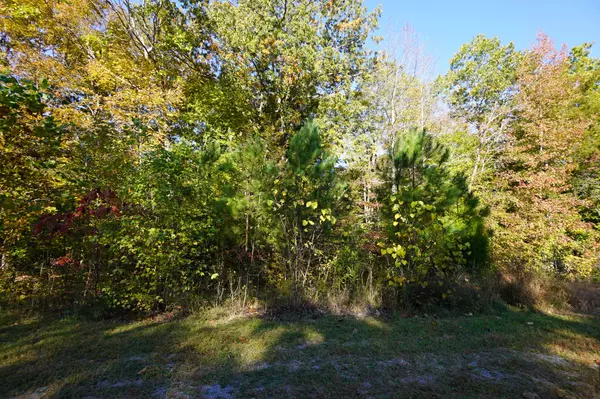 Dover, TN 37058,3 Joshua Lane