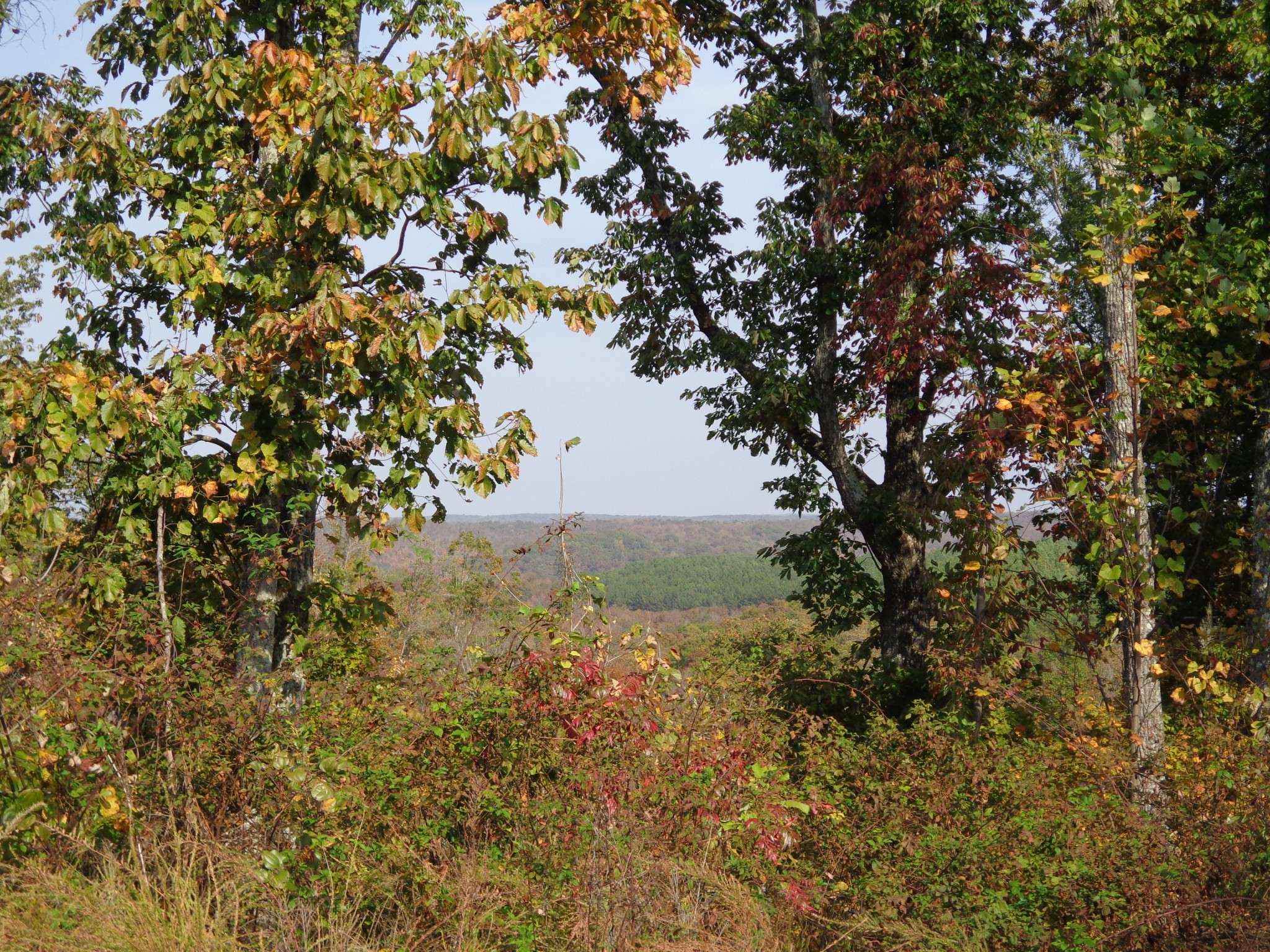 Waverly, TN 37185,1920 Richland Harbor Road