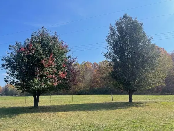 Hohenwald, TN 38462,353 Grinder Creek Rd