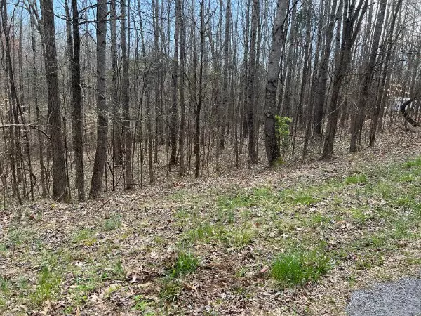 Bumpus Mills, TN 37028,0 Crestview