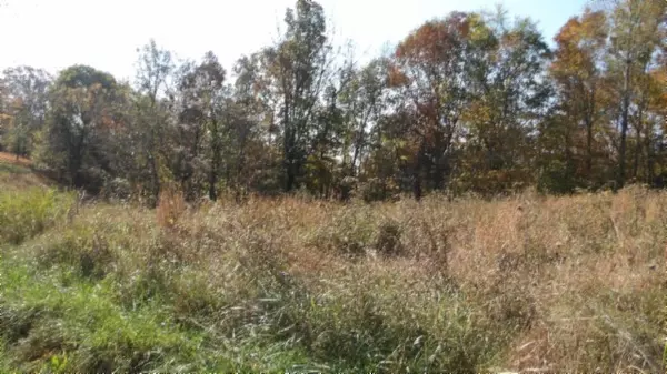 Celina, TN 38551,0 Moss Arcot Rd