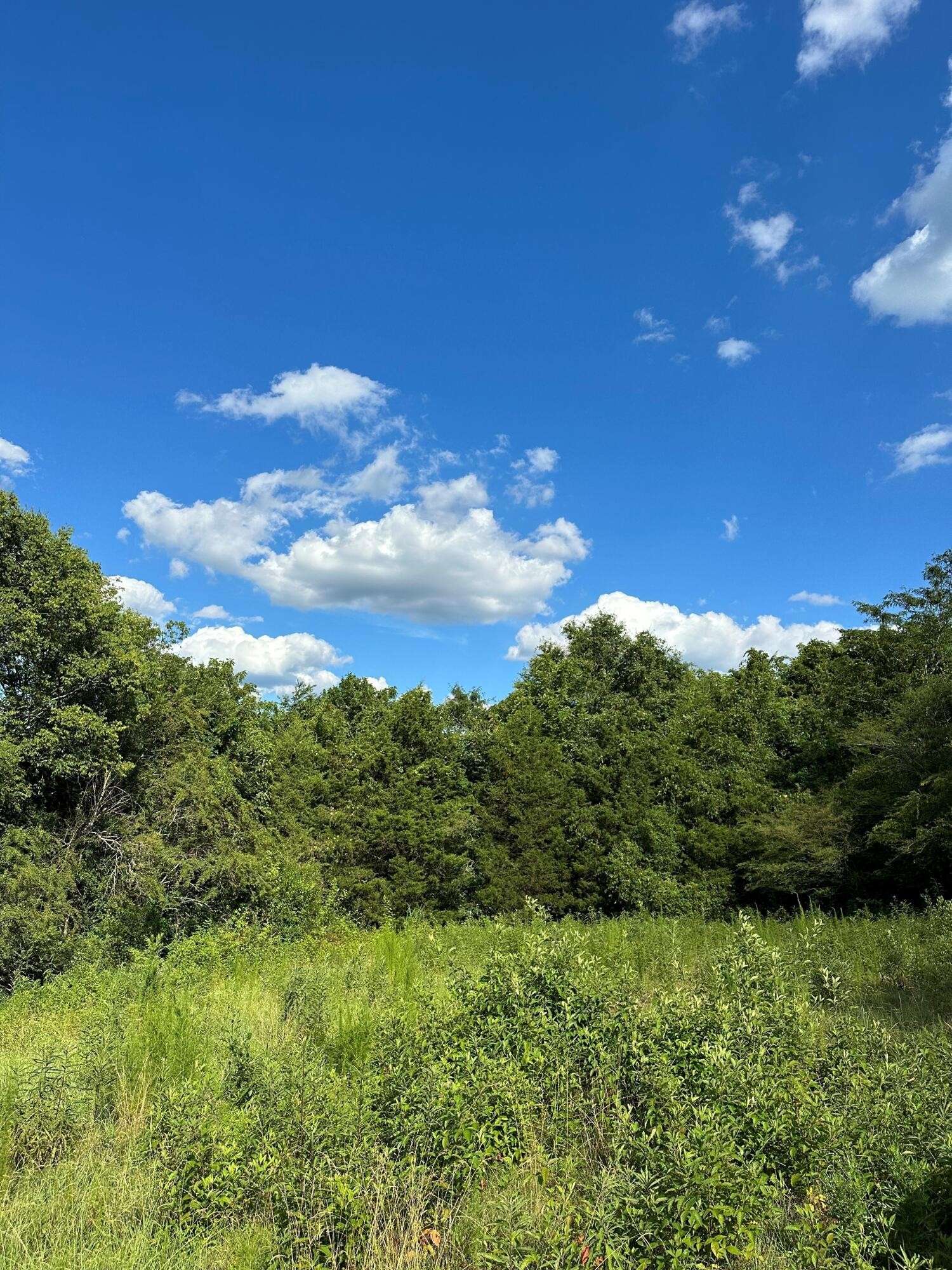 South Pittsburg, TN 37380,14 Battle Creek Road