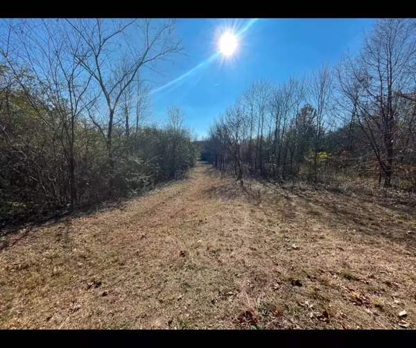 Mount Pleasant, TN 38474,0 Ivy Hollow