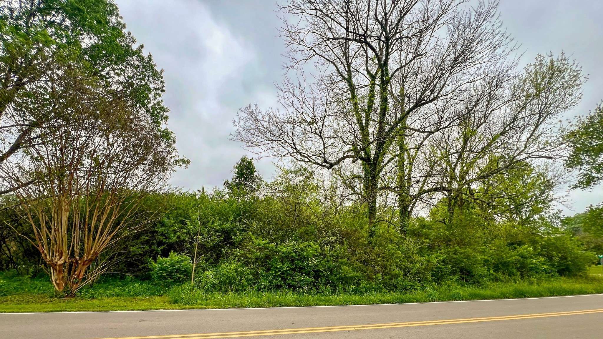 Lebanon, TN 37087,0 Lone Pine Dr